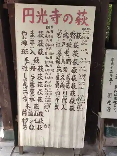 圓光禅寺（円光寺）のその他建物