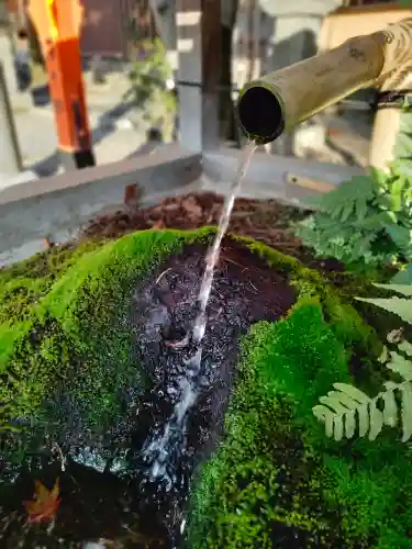 八坂神社(祇園さん)の手水舎
