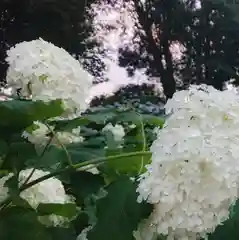 性海寺の自然