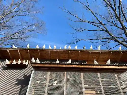 高山神社(群馬県)