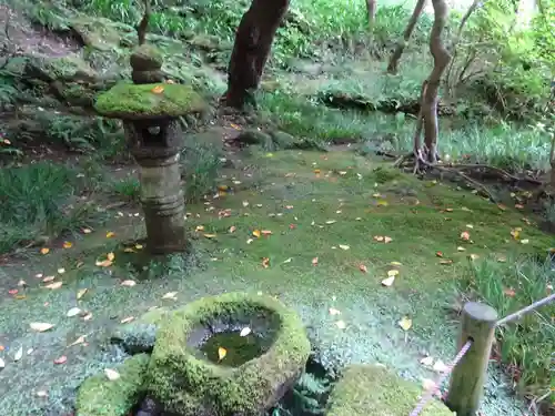 報国寺の塔