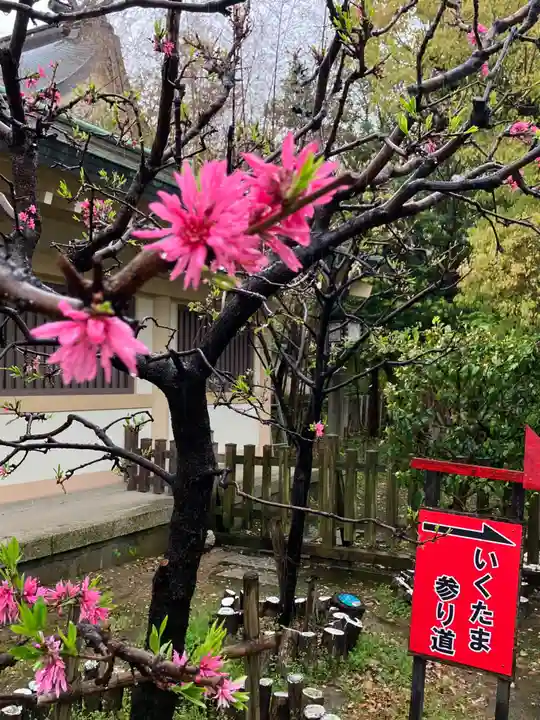 難波大社 生國魂神社(大阪府)