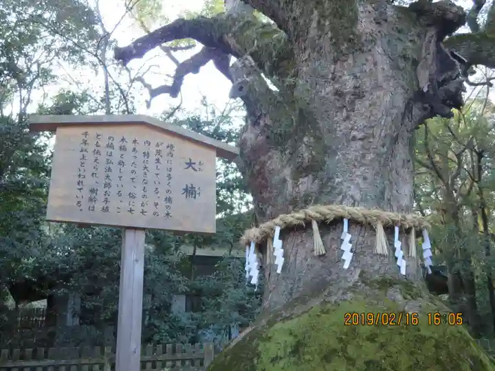 熱田神宮の自然