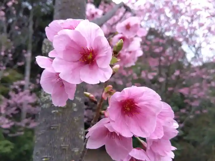 熊野若王子神社(京都府)