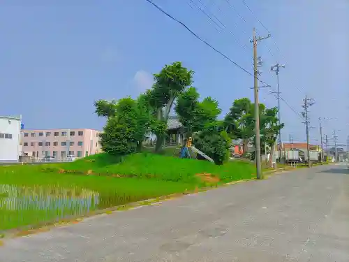 素盞嗚神社（鍜治ケ一色）の自然