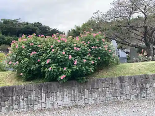 東昌寺(神奈川県)
