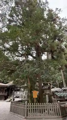 大神神社(奈良県)