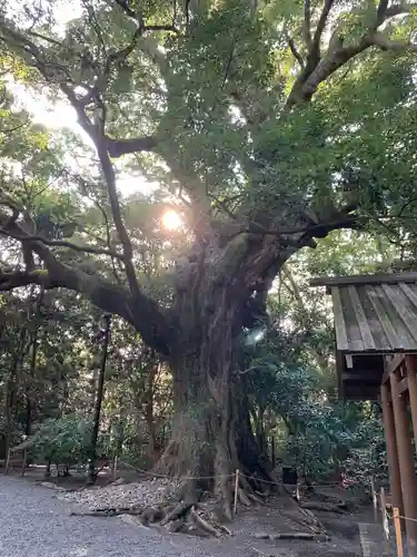 月夜見宮（豊受大神宮別宮）の自然