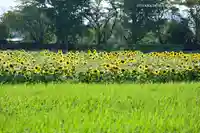 天照皇大神宮(神奈川県)