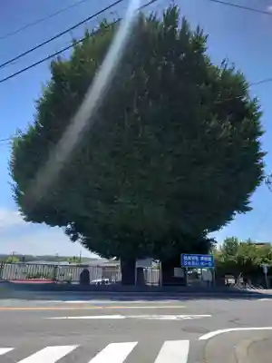 依知神社(神奈川県)