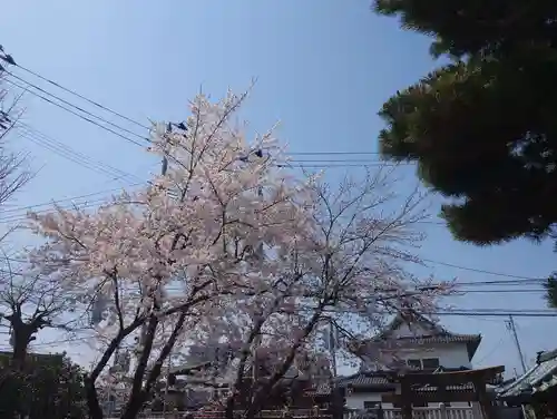 乙子神社(新潟県)