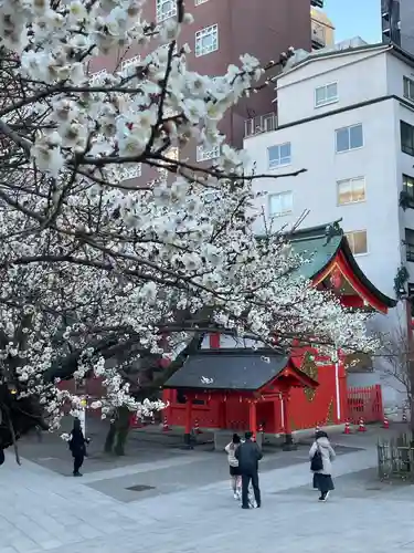 花園神社の自然