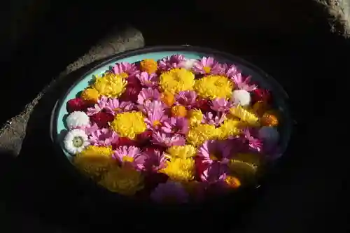 大鏑神社の手水舎