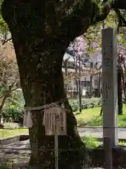 橿森神社(岐阜県)