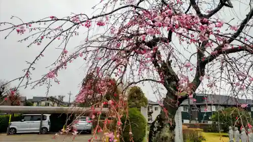 法岩院(千葉県)