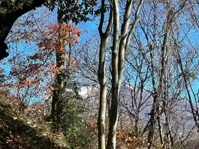 菱野健功神社(長野県)