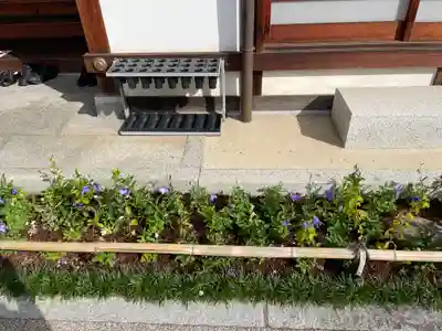 晴明神社(京都府)