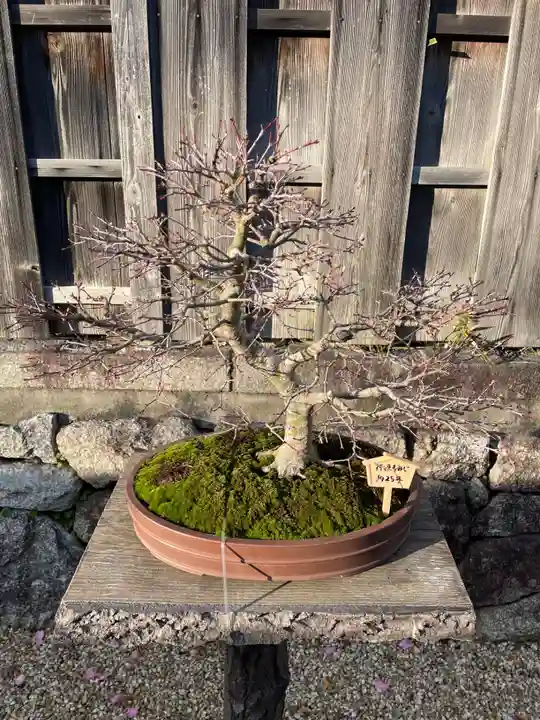 龍泉庵(京都府)