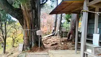 産安社(武蔵御嶽神社摂社)(東京都)