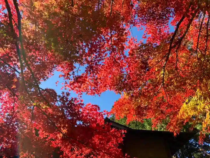 滑川神社 - 仕事と子どもの守り神の自然