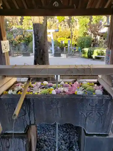 鳩森八幡神社の手水舎