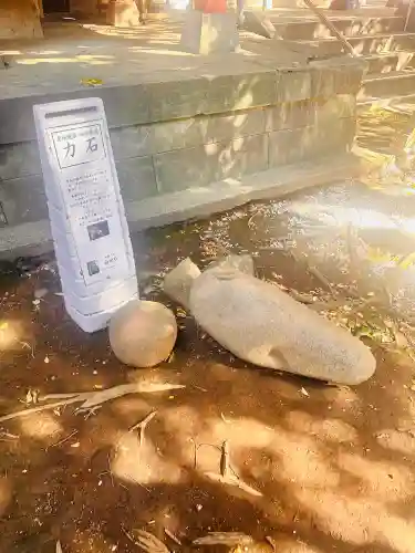 雪ケ谷八幡神社の{uncategorized: "未分類", other: "その他", undefined: "問題あり", building: "その他建物", grave: "お墓", sacred_gate: "鳥居", guardian: "狛犬", statue: "像", buddha: "仏像", history: "歴史", nature: "自然", garden: "庭園", animal: "動物", pagoda: "塔", temizu: "手水舎", mountain_gate: "山門・神門", sanctuary: "本殿・本堂", subordinate: "末社・摂社", art: "芸術", scenery: "景色", jizo: "地蔵", ema: "絵馬", goshuin: "御朱印", omikuji: "おみくじ", items: "授与品その他", amulet: "お守り", goshuincho: "御朱印帳", eats: "食事", festival: "お祭り", votive_dance: "神楽", shichigosan: "七五三参", wedding: "結婚式", experience: "体験その他", initially: "初詣", around: "周辺", anti_infection: "感染症対策"}