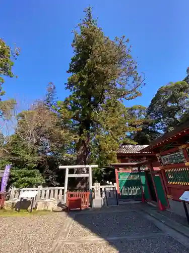 大杉神社のその他建物