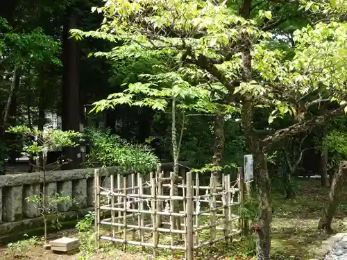 布多天神社の自然