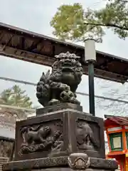 八坂神社(祇園さん)(京都府)