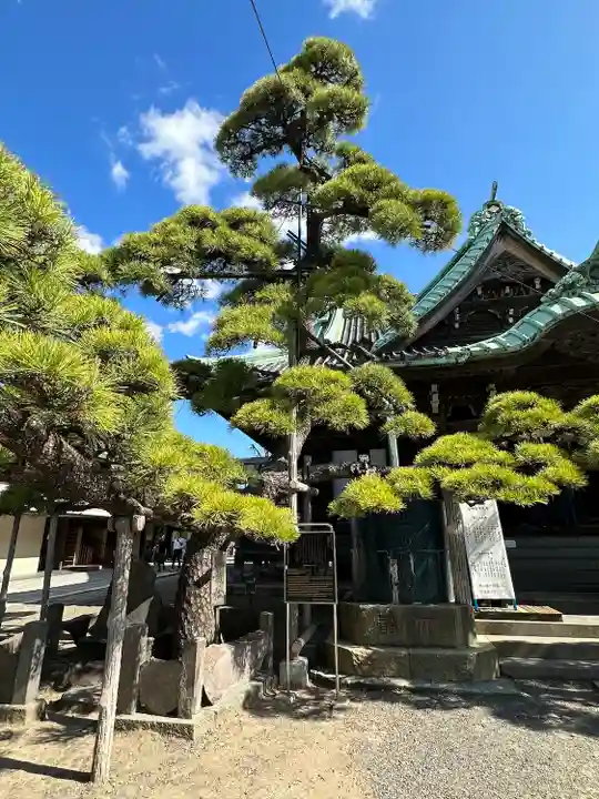 題経寺(柴又帝釈天)(東京都)