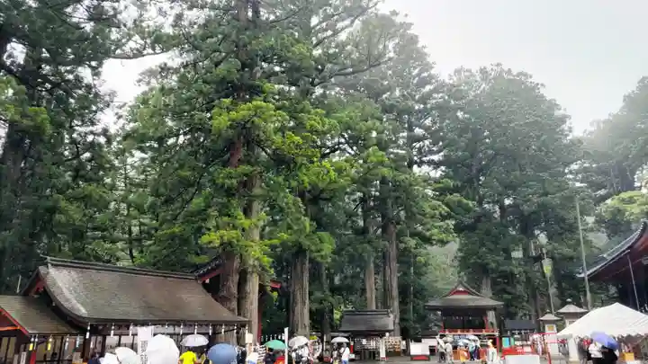 日光二荒山神社(栃木県)