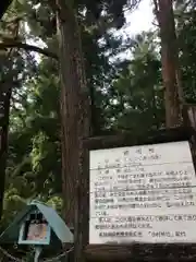 小村神社の自然