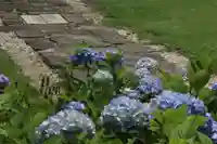 国宝 大法寺の庭園