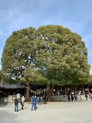 明治神宮(東京都)