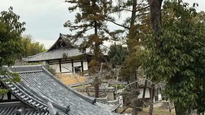 法隆寺(奈良県)