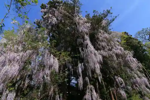 春日神社の庭園