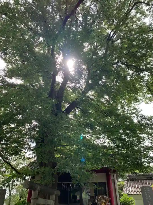 加波山普明神社(茨城県)