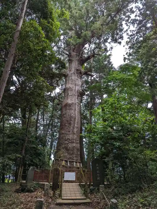 麻賀多神社(千葉県)