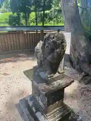 國津神社の狛犬