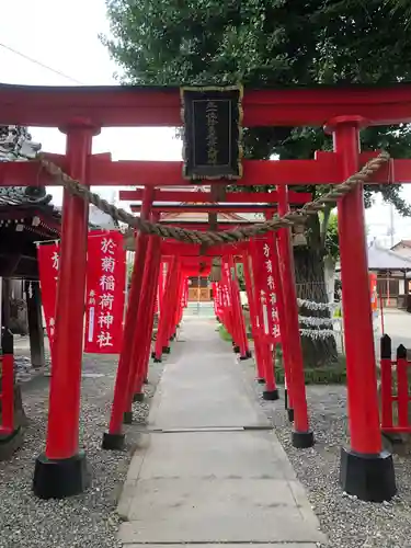 於菊稲荷神社の鳥居