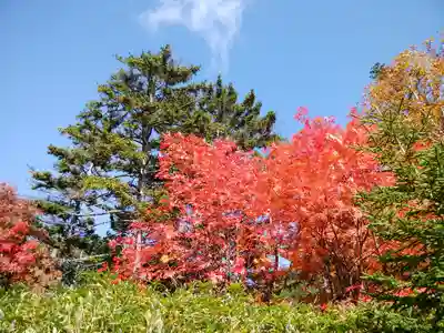 大雪山層雲峡神社(北海道)
