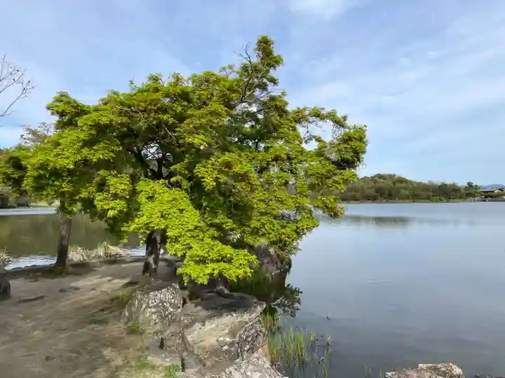観音島(京都府)