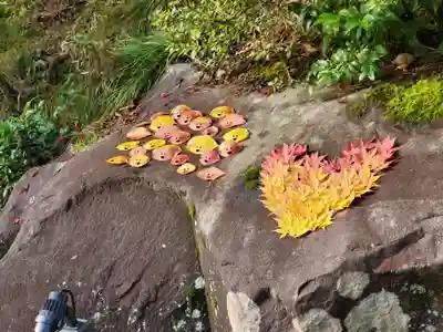 彌彦神社(新潟県)