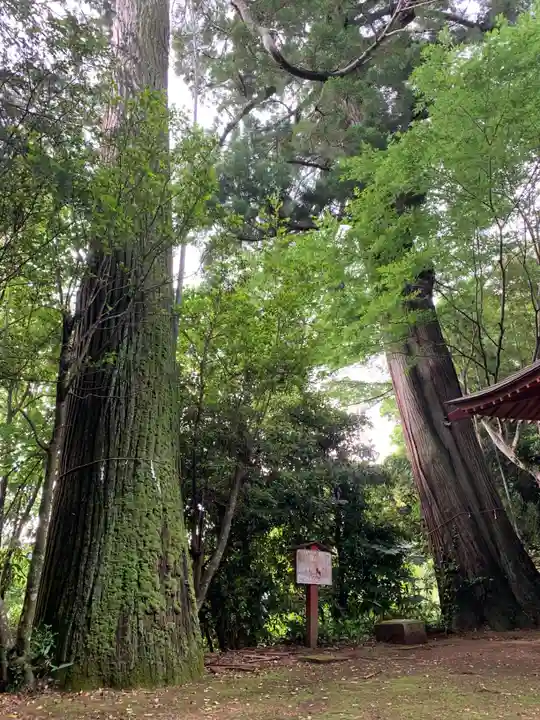 白山神社(千葉県)
