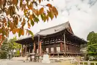 くろ谷 金戒光明寺の本殿・本堂