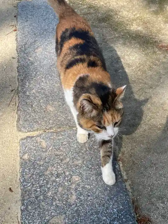 石清水神社の動物
