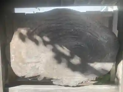 山王宮分社(神奈川県)