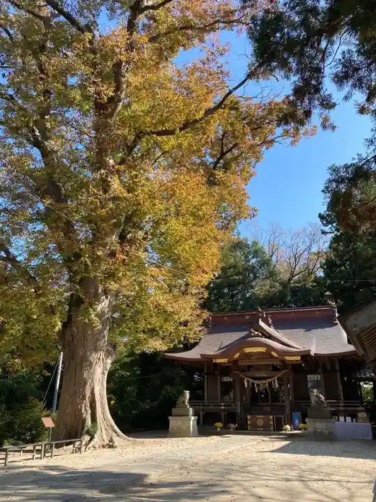 素鵞神社の本殿・本堂