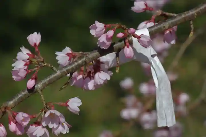 国宝 大法寺(長野県)