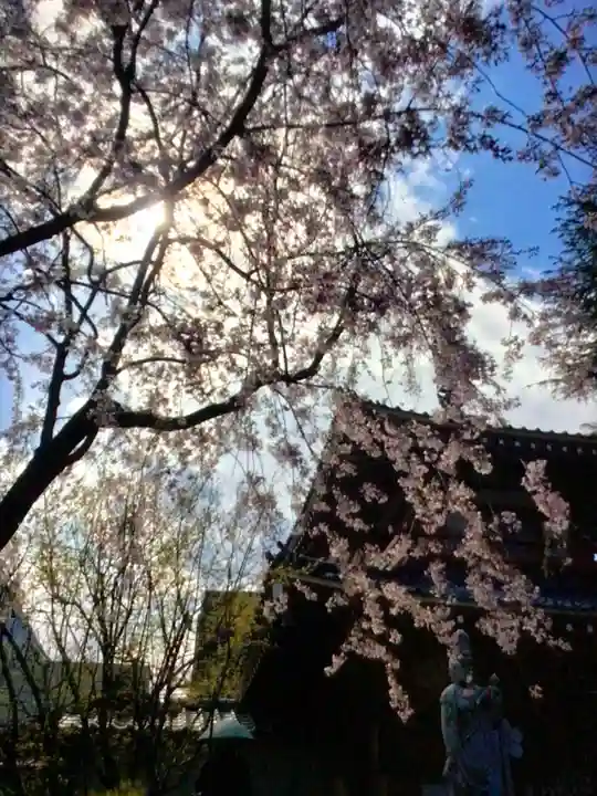 新井薬師(梅照院)(東京都)